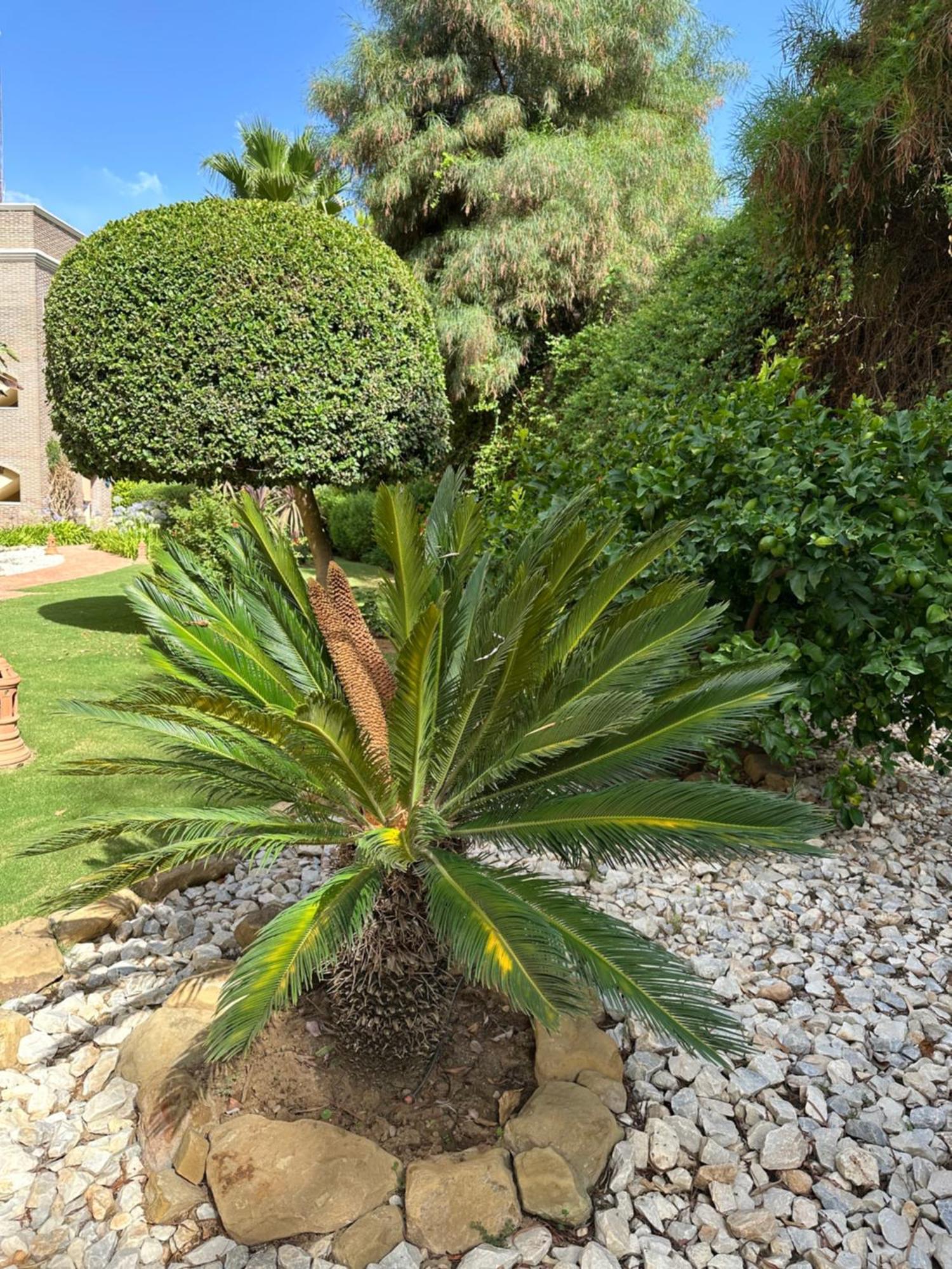 Los Arqueros Las Jacarandas Benahavis Ngoại thất bức ảnh